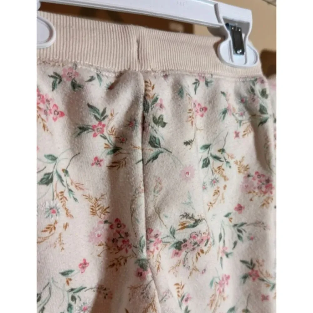 Oshkosh Beige Pink Green White Floral Sweatshirt & Sweatpants Outfit 18m 4013